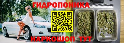 гидропоника Ижевск
