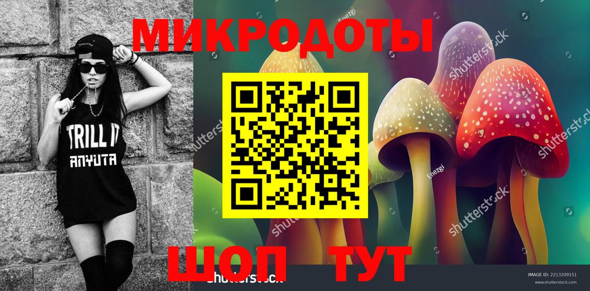 Псилоцибиновые грибы прущие грибы  Вход с VPN  Выборг  где найти   Галлюциногенные грибы мицелий 